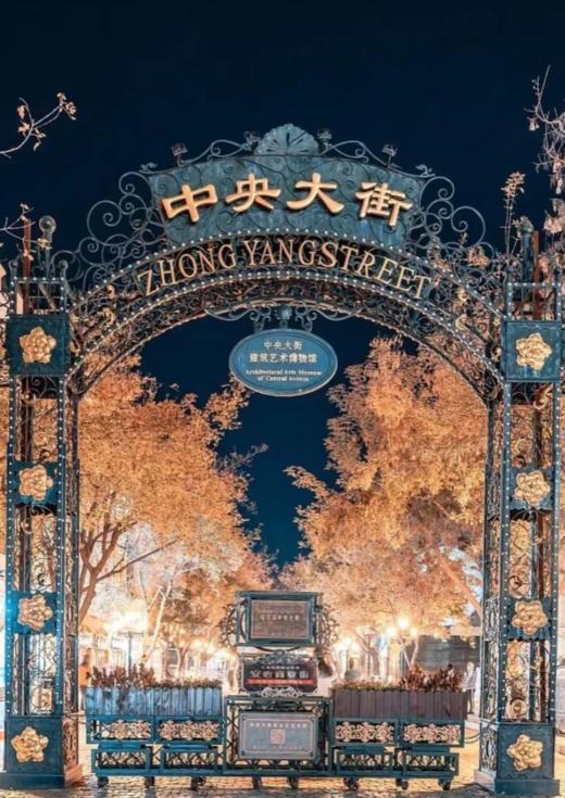 【东北·北国雪梦】 哈尔滨+雪乡+亚布力双飞纯玩6日游 商品图7