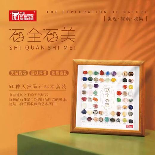 地球宝藏系列 商品图0