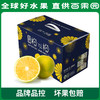 PAGODA百果园 招牌-橙以橙（小）5斤礼盒装 商品缩略图5
