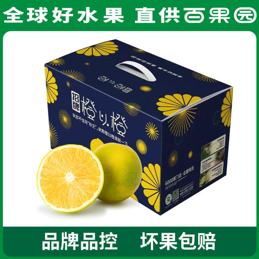 PAGODA百果园 招牌-橙以橙（小）5斤礼盒装 商品图5