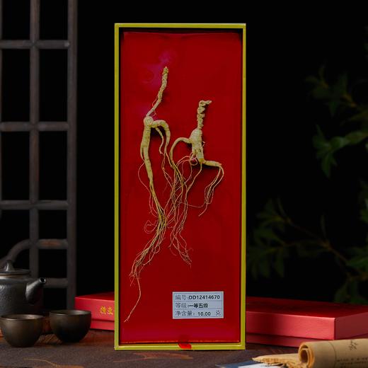 神象 野山参一等五级10克 （18年以上） 商品图2