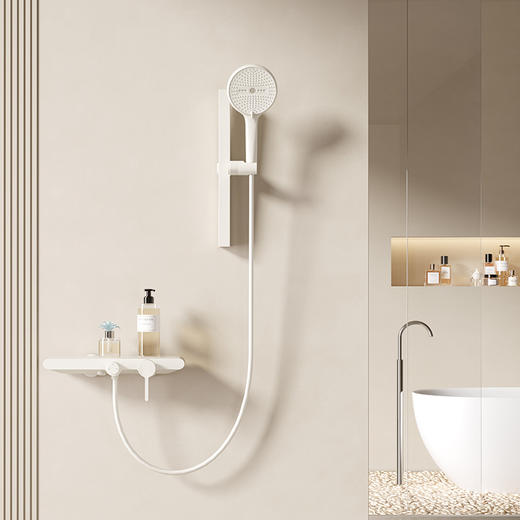 帝王洁具淋浴花洒套装无顶喷分体小户型家用TC24004 商品图0