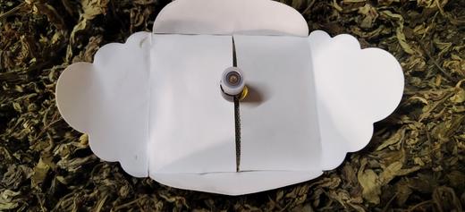 艾缘灸道升级版四翼蕲艾艾贴一盒五贴买一送二 商品图3