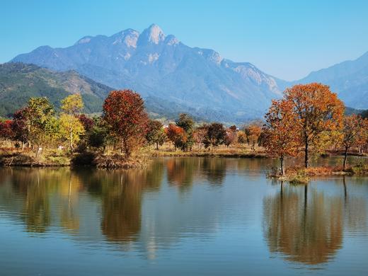 大别山红叶5—9天摄影团——九资河柿子古村、罗田水上红叶、圣人堂、马鬃岭、大悟红叶、杨高山、随州钱冲古银杏 商品图4