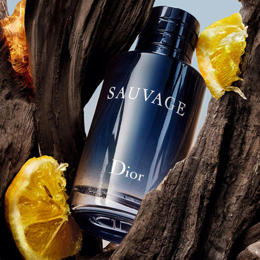 杞冠臻选 | Dior 迪奥旷野男士香水系列 木质芳香调约会 礼物 商品图2