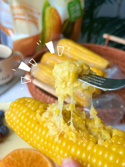 //【皇饿吗&玉巨人 真空包装熟制鲜食玉米】沙漠玉米🌽 糯叽叽甜滋滋还能拉丝，皮薄肉满，软糯Q弹 ✅无污染种植：源自内蒙古乌兰布和沙漠，天然纯净！  商品图1