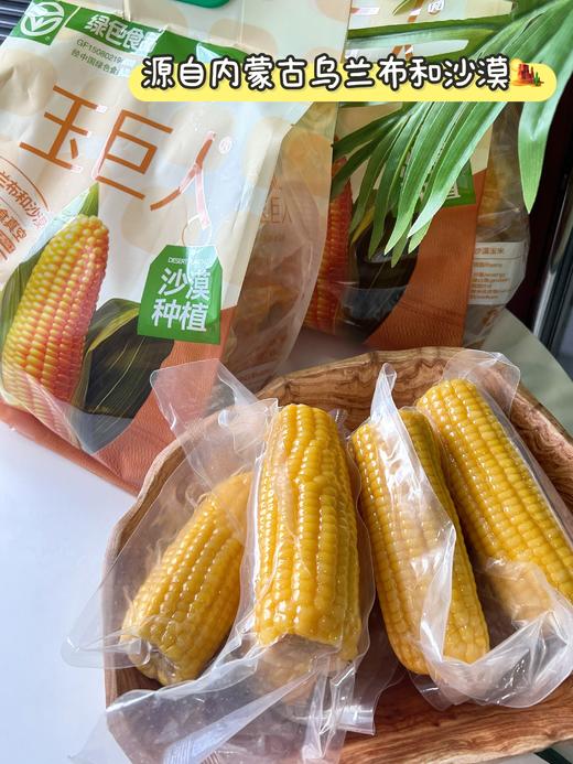 //【皇饿吗&玉巨人 真空包装熟制鲜食玉米】沙漠玉米🌽 糯叽叽甜滋滋还能拉丝，皮薄肉满，软糯Q弹 ✅无污染种植：源自内蒙古乌兰布和沙漠，天然纯净！  商品图0