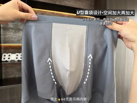 【限时狂欢】【买4送1 到手5条】男士60支匹马棉内裤礼盒装⭐镇店口碑款 高品质💎 商品图7