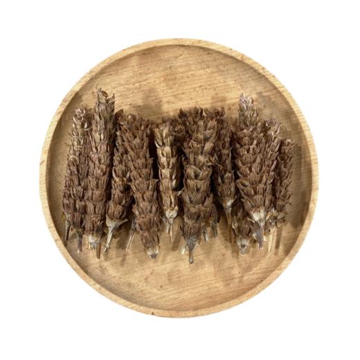 夏枯草 全草带杆  夏枯花 商品图3