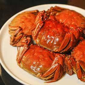 阳澄湖大闸蟹