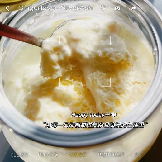 到手3罐！【西西漠北内蒙古奶皮子手工老酸奶500g*3罐】原产地直发！奶味十足~高蛋白！优质乳酸菌促进肠道蠕动消化！酸奶+奶皮子的创新组合挑战你的味蕾 商品图2