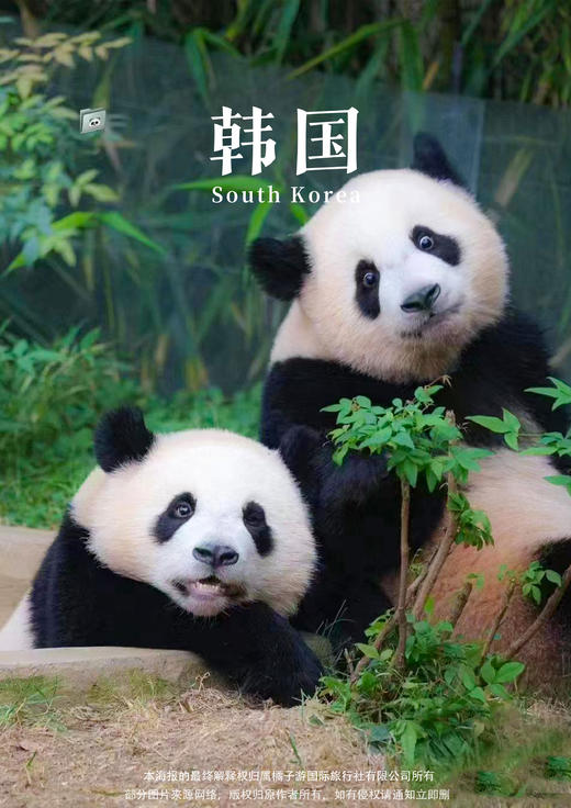 【爱宝亲子】 首尔纯玩双乐园滑雪之旅 商品图0