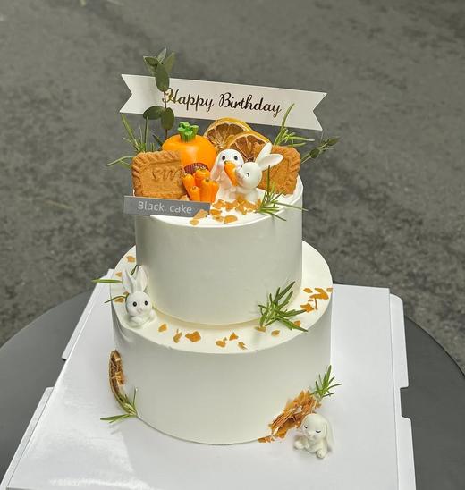 6寸+4寸 | 森系小兔子 | 小双层蛋糕 商品图0