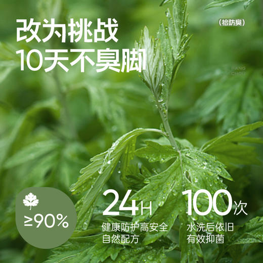 【6双装】拾袜记 秋冬防臭精油袜礼盒 男/女款 植物精油 天然抑菌 商品图2