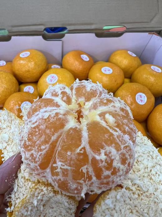 【蜜桔天花板】台州涌泉高山蜜桔，无敌好吃，像果冻一样，水分超好，纯甜，爆汁 商品图7