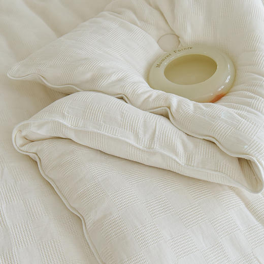 新疆长绒棉花四季被冬被单双人纯棉被子被芯 商品图3