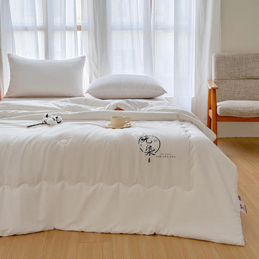 无印良品“无染”A类抗菌里外全棉棉花冬被MJ-B2024-0186 商品图7