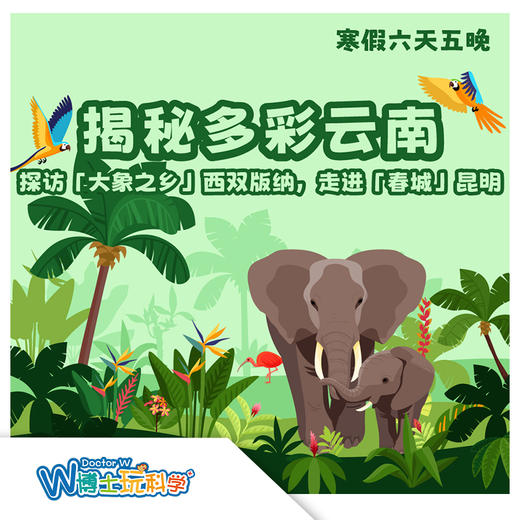 【南京】揭秘多彩云南 商品图0