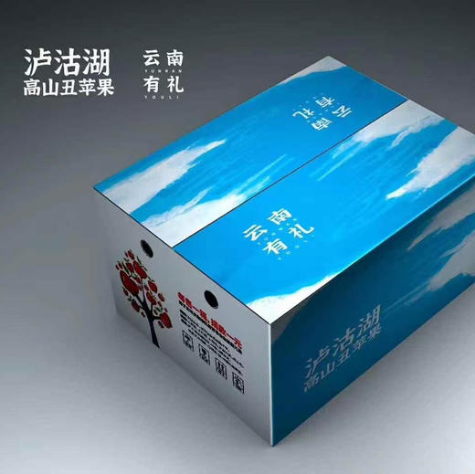 甄选 · 来自云南高山的丑苹果 商品图3