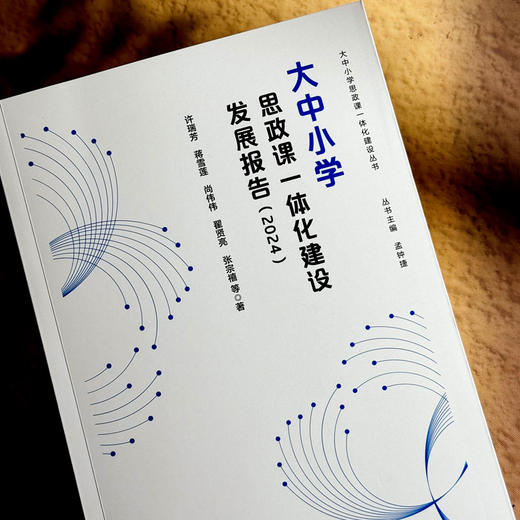 大中小学思政课一体化建设发展报告 2024 思想政治教育 商品图4