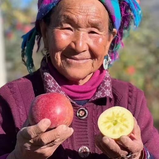 大凉山糖心丑苹果【愿每一颗苹果走出大山，更希望大山里的果农们能走出大山多看看外面的世界】 商品图3