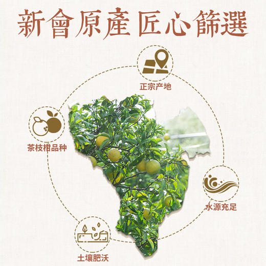 暖食家广东新会陈皮 7年陈皮50克盒装 地理标志产品 古法开皮 传统生晒 商品图2