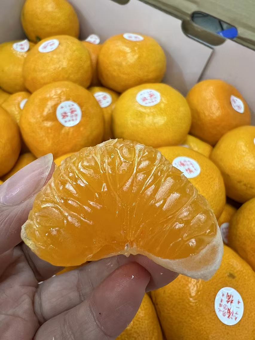 【蜜桔天花板】台州涌泉高山蜜桔，无敌好吃，像果冻一样，水分超好，纯甜，爆汁