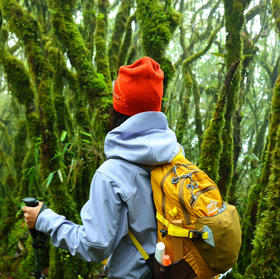 云南｜哀牢山徒步露营3天2晚，现实版暮光森林，哀牢山可开放区域的非景区徒步路线！动植物研究所/真菌王国/树的海洋/人少秘境日出云海观景台！深度探索哀牢山！