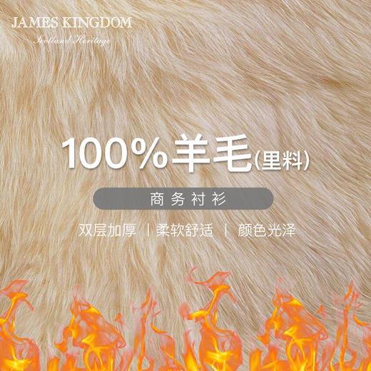 占姆士秋冬男士法兰绒双层加厚衬衫中青年商务休闲格子保暖衬衣 商品图2