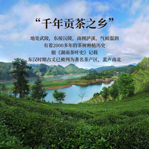 正山堂 古丈红潇湘红礼盒装 湖南特级红茶正宗骏眉中国茶叶送礼长辈160g 商品图4