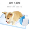 毛大胖宠物尿垫狗狗尿片厕所除臭吸水尿不湿一次性尿布多规格 商品缩略图1