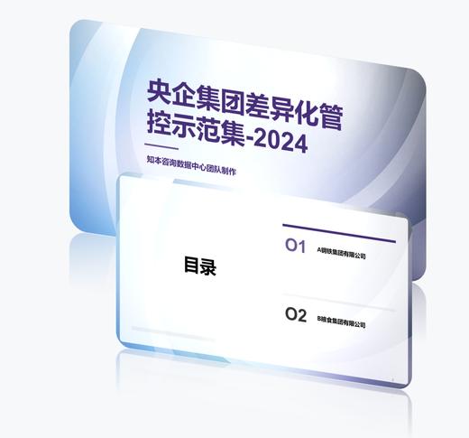案例研习 | 央企集团差异化管控示范集2024 商品图0