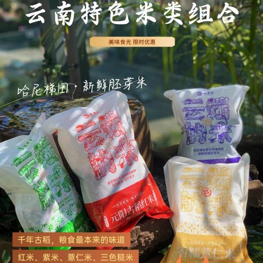 云南墨江留胚紫米丨均为新米，5斤紫米送1斤碎紫米，另有紫米礼盒装 商品图0