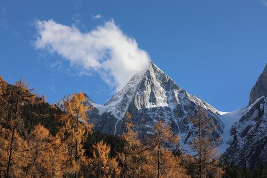 西南·川西贡嘎山赏秋环线9天：30里彩林＋雪山，羊绒哈德、奶子沟、毕棚沟、党岭、新都桥、康定 商品图9