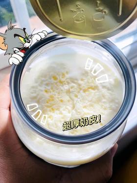 到手3罐！【西西漠北内蒙古奶皮子手工老酸奶500g*3罐】原产地直发！奶味十足~高蛋白！优质乳酸菌促进肠道蠕动消化！酸奶+奶皮子的创新组合挑战你的味蕾