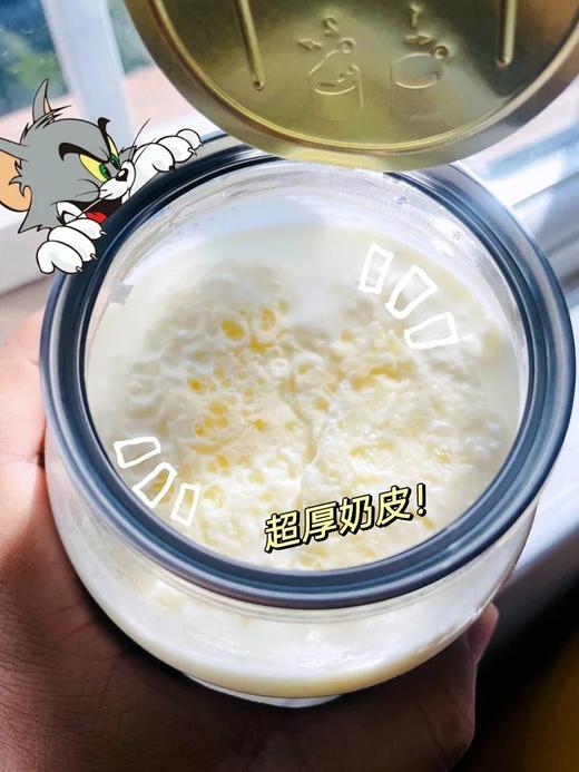 到手3罐！【西西漠北内蒙古奶皮子手工老酸奶500g*3罐】原产地直发！奶味十足~高蛋白！优质乳酸菌促进肠道蠕动消化！酸奶+奶皮子的创新组合挑战你的味蕾 商品图0