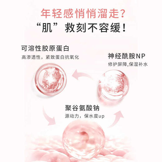 哈三联胶原蛋白修复贴 26g*5p（粉）妆 商品图2