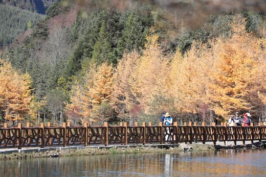 西南秋季·川西8天：毕棚沟、达瓦更扎、松坪沟、奶子沟彩林、四姑娘山 商品图5