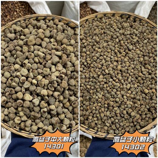 覆盆子 常用规格 复盆子 中颗粒 商品图0