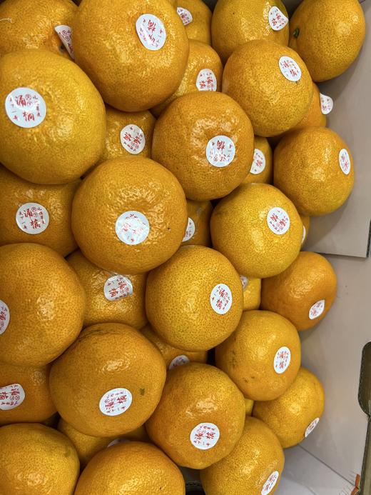 【蜜桔天花板】台州涌泉高山蜜桔，无敌好吃，像果冻一样，水分超好，纯甜，爆汁 商品图3