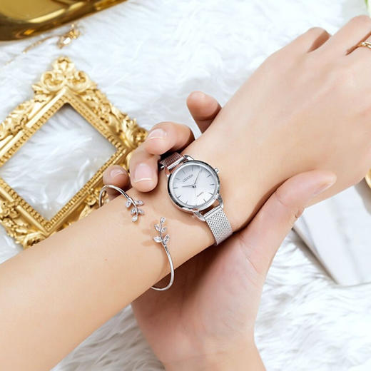 西铁城石英女表EQ3000-58D 商品图1