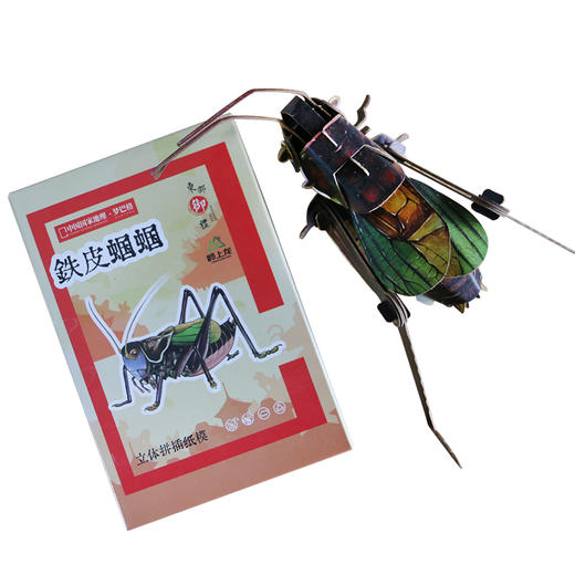 密云东邵渠镇小岭村开发文创立体纸模型自己动手拼接铁皮蝈蝈  会叫的铁皮蝈蝈 商品图2