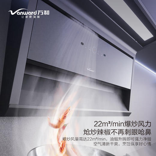 万和 顶侧双吸油烟机 飓风吸 22立方大吸力 挥手感应 智旋自洗 CXW-290-L12QC3 商品图5