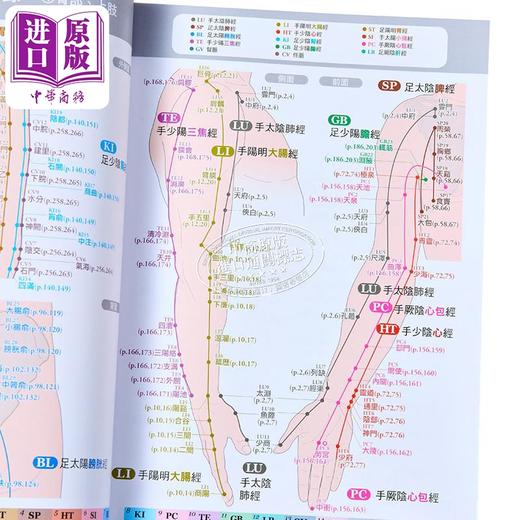 【中商原版】经穴大全(大字版) 港台原版 坂元大海 原岛广至 枫书坊 中医经络 商品图3
