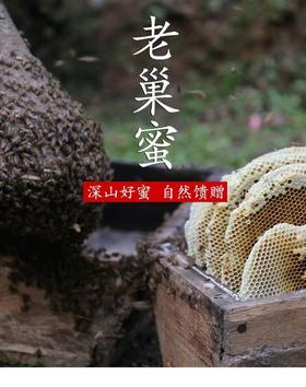 天然深山老蜂巢蜜🐝天然土蜂巢 ，用过的都明白它的好 基地直邮