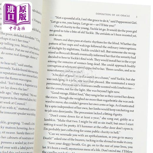 【中商原版】魔法坏女巫系列套装 美国音乐剧托尼奖原著小说 新版封面 The Wicked Series Box Set 英文原版 Gregory Maguire 商品图3