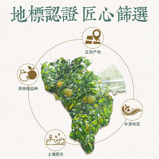 地理标志产品 暖食家广东新会陈皮 3年陈皮50克盒装 古法开皮 传统生晒 商品图3