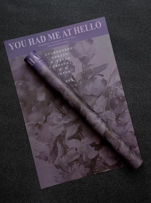 油画乌梅子酱纸C款 商品图2