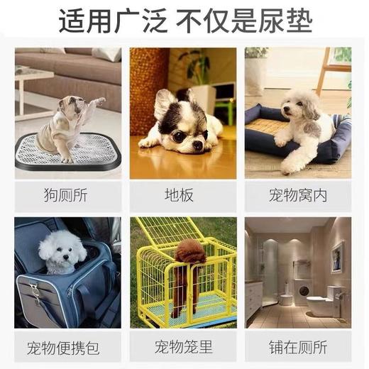 毛大胖宠物尿垫狗狗尿片厕所除臭吸水尿不湿一次性尿布多规格 商品图3