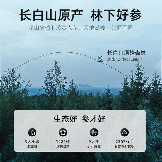 【杞里香东北长白山红参片】250g/130g高丽参片干货整支新鲜人参红参粉足龄红参片 泡茶煲汤两相宜 商品图1